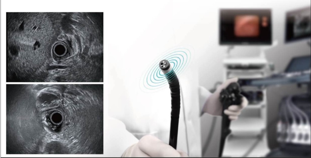 Medical endoscopy imaging suite